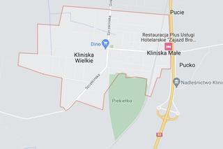 Gdzie na grzyby w Szczecinie?