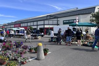 Ceny truskawek na Ryneczku Jerzego w Gorzowie