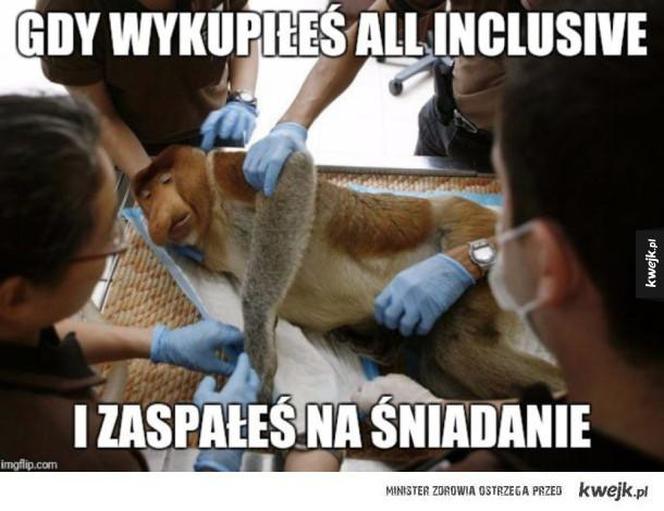 Wakacje all inclusive. Oto najlepsze memy tego lata!