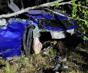 Wypadek w Kobiórze. 32-latka uderzyła autem w łosia. Kobieta walczy o życie 