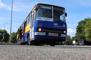 Na trasę do Myślęcinka wyjadą klasyki. Znamy rozkład jazdy zabytkowego, bezpłatnego autobusu