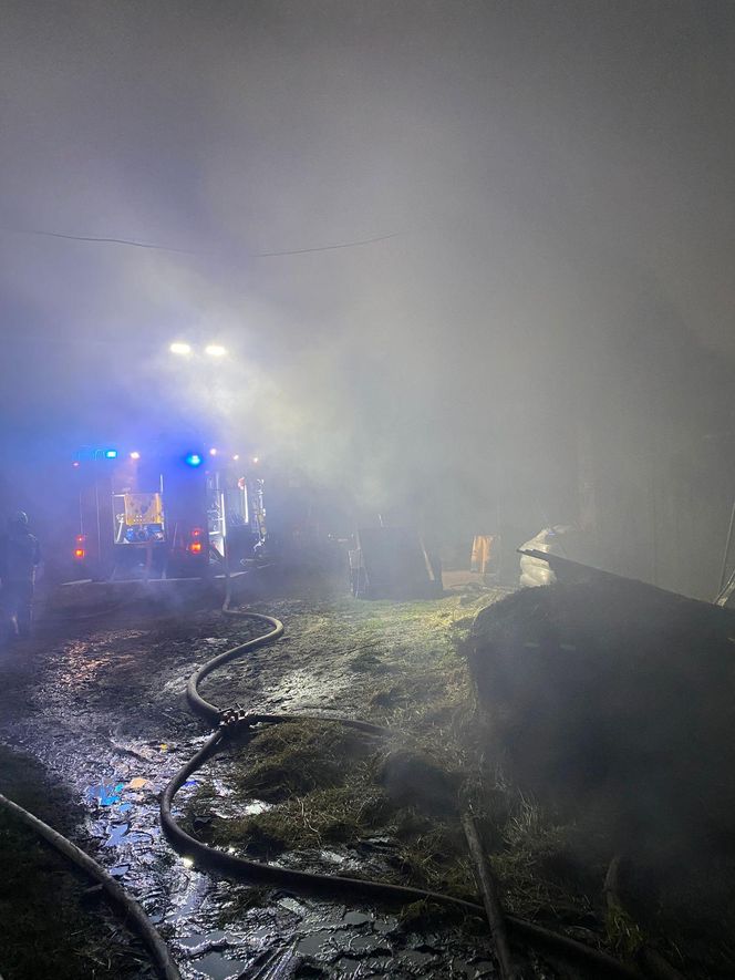 Duży pożar na terenie gospodarstwa w Zaborówcu koło Leszna