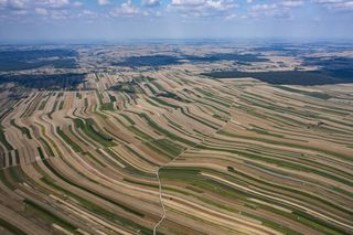 Wyjątkowa małopolska wieś na Szlaku Orlich Gniazd. Zachwycają się nią nawet za granicą 