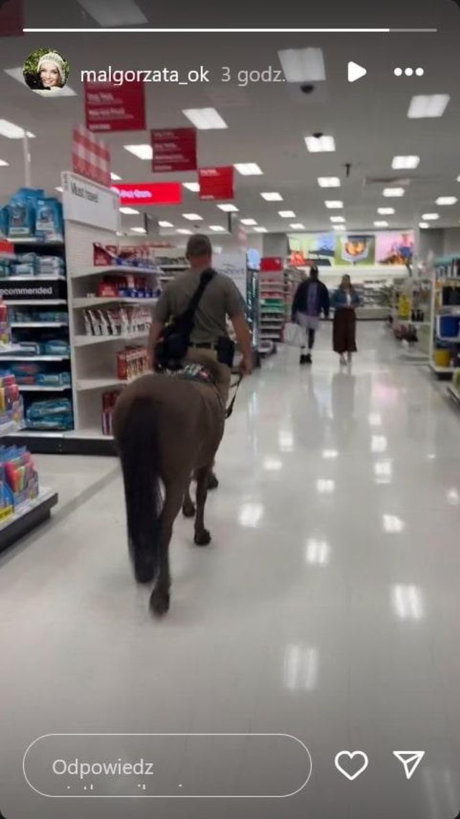 Małgorzata Ostrowska-Królikowska spotkała konia w supermarkecie. Wszystko nagrała!