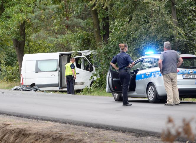 Śmiertelny wypadek na drodze w okolicach miejscowości Psucin 