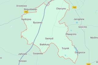 Google Maps 
