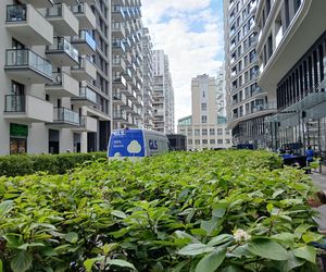 Osiedle Bliska Wola Tower w Warszawie