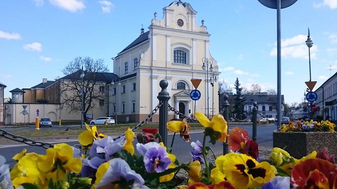 Zuk rozpoczął wiosenne nasadzenia kwiatów