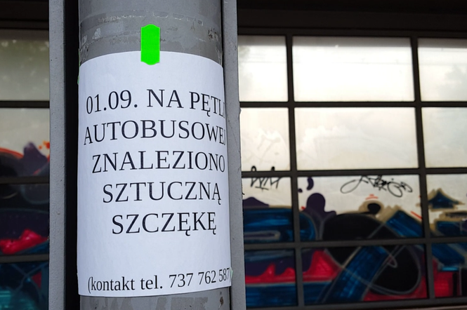 Ogłoszenie, choć poważne, rozbawia do łez.