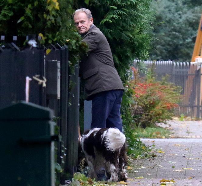 Donald Tusk na spacerze z Portosem