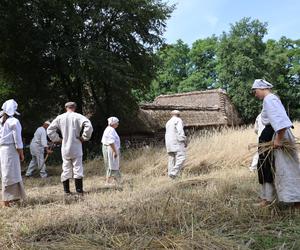 Tak wyglądało kiedyś żniwowanie na polskiej wsi