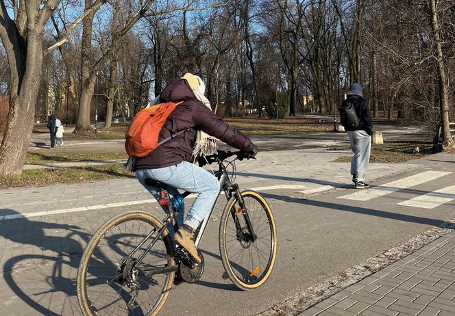 Zabytkowy Park Bronowicki w Lublinie czeka gruntowna rewitalizacja. Koszt? 8 milionów złotych