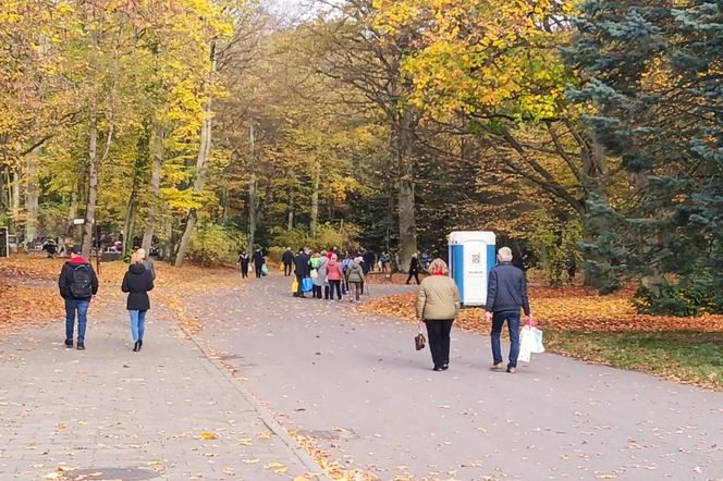 1 listopada na Cmentarzu Centralnym w Szczecinie