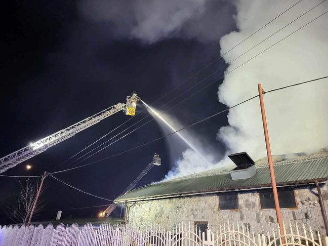 Akcja gaśnicza w Wildze trwała przez całą noc. 17 lutego prowadzone były prace związane z dogaszaniem w obrębie pogorzeliska.