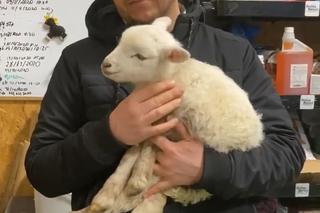 Zostałem mamą Henia