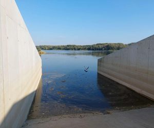 Wisła w Fordonie wyraźnie przybrała i przyspieszyła. Duża woda niesie mnóstwo śmieci i zanieczyszczeń