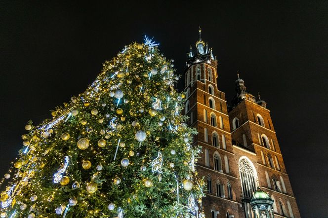 Najpiękniejsza choinka na świecie znajduje się w Polsce! Gdzie ją zobaczyć? 