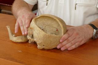 Po latach otworzyli sarkofag w kościele ganizonowym