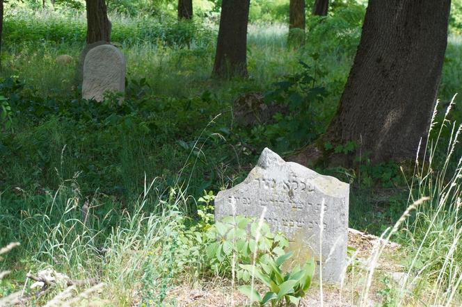 Zabytkowy cmentarz żydowski z XIX wieku w Białymstoku. Ostatnia taka ocalała nekropolia w mieście