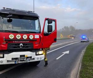 Gostynin. Senior przejechał matkę z dwójką dzieci! Dramatyczna akcja ratunkowa