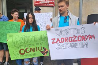 Manifestacja w obronie dóbr przyrody i klimatu w Krakowie