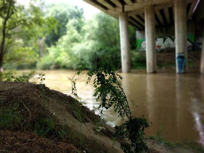 Sytuacja hydrologiczna w Tarnowie. Czy grozi nam powódź?