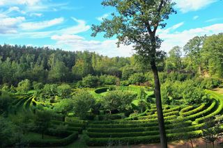 Arboretum Bramy Morawskiej zachwyca jesienią
