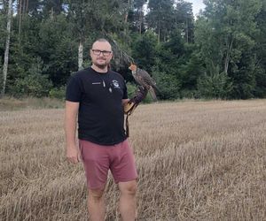 Godziesze Małe. Sokół wędrowny wrócił do natury [POSŁUCHAJ]