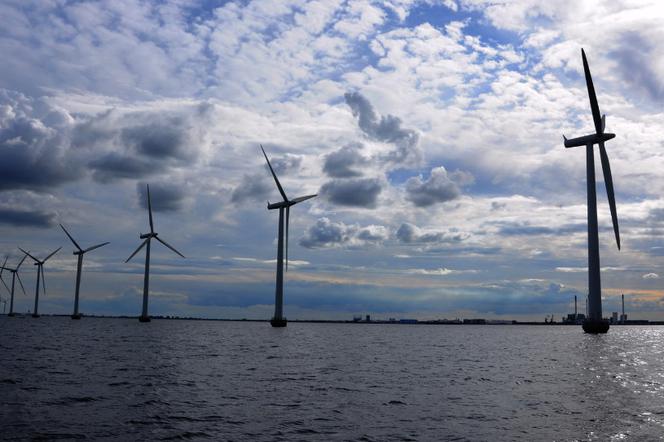 Pierwsza polska farma morska powstanie na Bałtyku