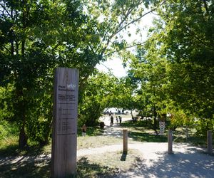 Plaża Romantyczna nad Wisłą w Warszawie