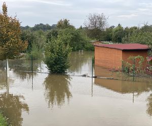 Krosno Odrzańskie. Miasto przygotowuje się na falę kulminacyjną