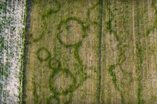 Zagadkowe znaki na polu pod Szczebrzeszynem. To ufo czy tylko sztuka?