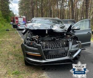 Kierowca audi potrącił łosia. Pechowe zderzenie zakończyło się śmiercią