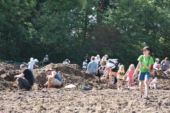 Muzeum Agatów w Rudnie zorganizowało wykopki minerałów. Zbierano je jak ziemniaki