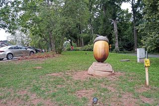 Pomnik żołędzia w pobliżu Dęba Bartka