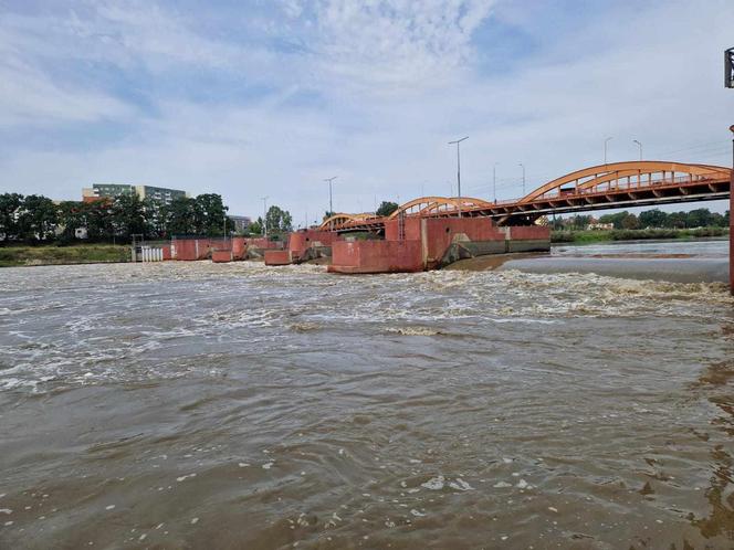 Mieszkańcy Wrocławia walczą z powodzią