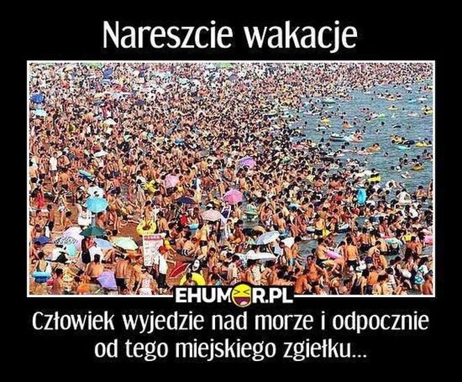 Najlepsze memy o wakacjach nad polskim morzem