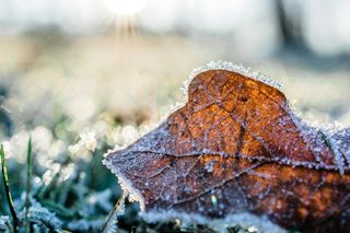 Tutaj w Podlaskiem był najwyższy mróz minionej nocy. To najchłodniejsze miejsce w Polsce!