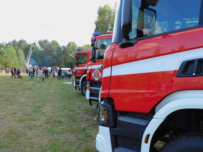 Piknik "Tak to było sto lat temu" w Dąbrówce Stany