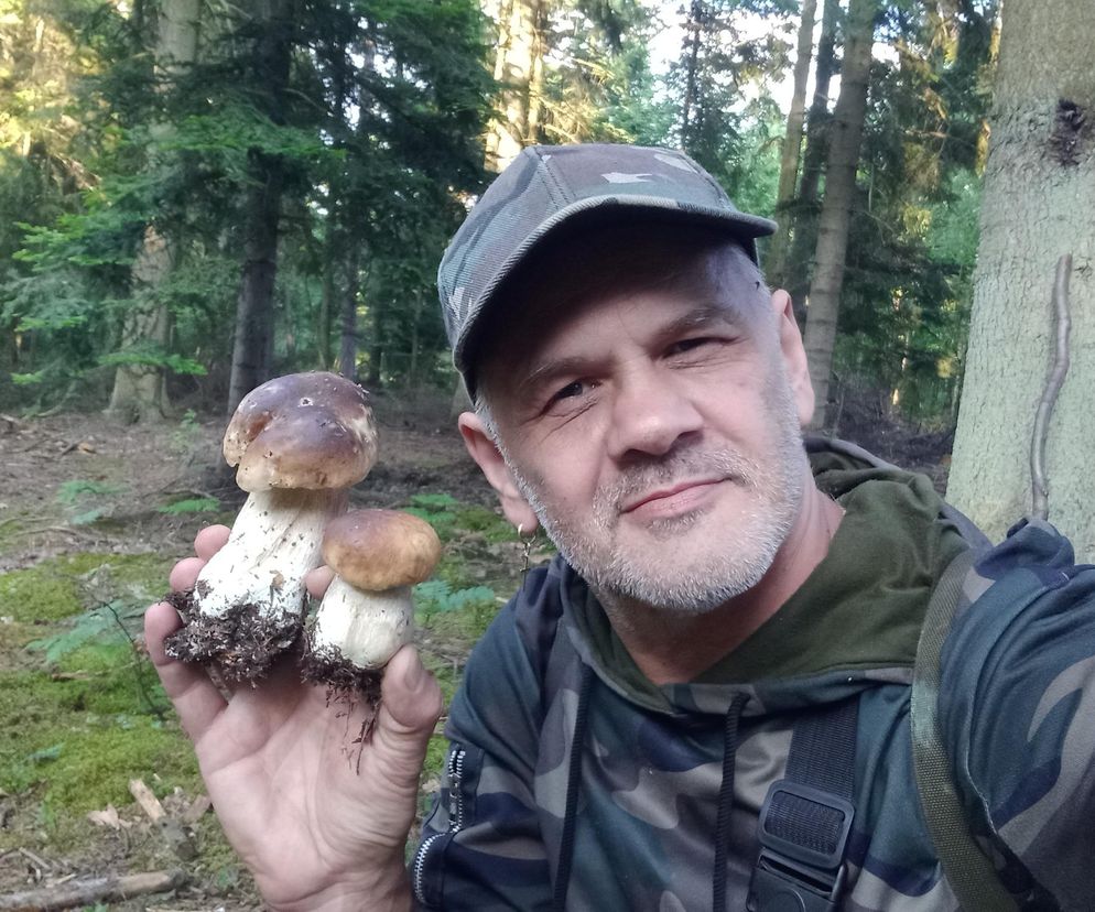 Taaaakie grzybobranie w Świetokrzyskiem. Królują borowiki szlachetne i ceglastopore