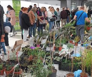 Jasionka.  Tłumy na targach aranżacji wnętrz i ogrodnictwa