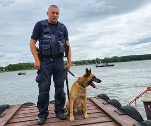 Szkolenie psów policyjnych nad Zalewem Zemborzyckim