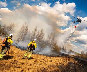 Pożar w Biebrzańskim Parku Narodowym ugaszony. Koniec akcji
