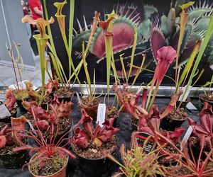 Egzotyczny świat zawitał do Bydgoszczy! ZooEgzotyka 2025 i Targi Akwarystyki przyciągnęły tłumy