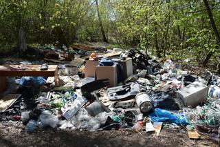Nielegalne wysypisko śmieci na Targówku! Zareagowała radna dzielnicy [GALERIA]