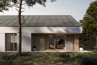 Nowa Norma - wizualizacja 2