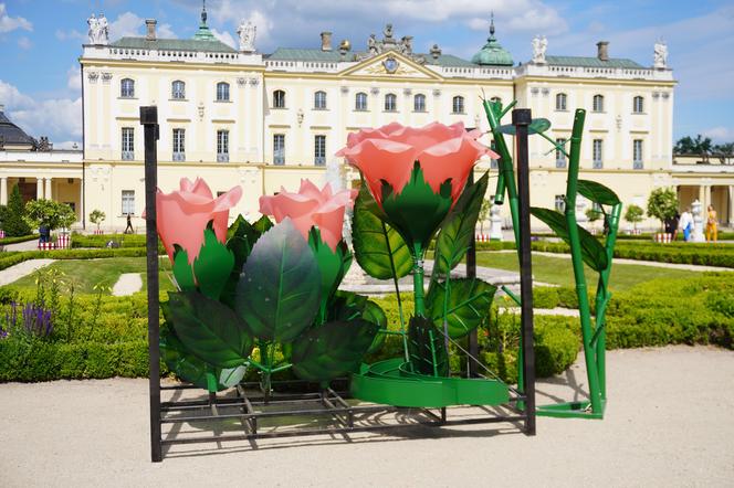 Nowa instalacja artystyczna przy Pałacu Branikich w Białymstoku