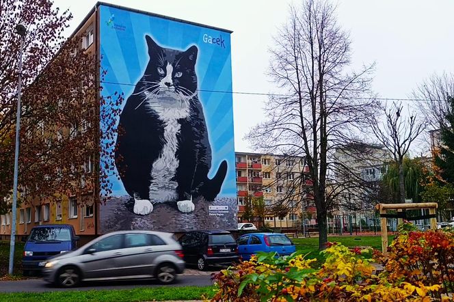 Mural z kotem Gackiem już odsłonięty