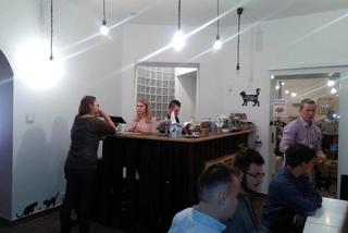 Katowice: Pierwsza na Śląsku Kocia Kawiarnia działa już trzy tygodnie! [ZDJĘCIA]