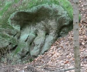 Te skały w lesie pod Wolą Komborską skrywają tajemnice. Są naprawdę nietypowe 